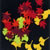 autumn leaves on black background